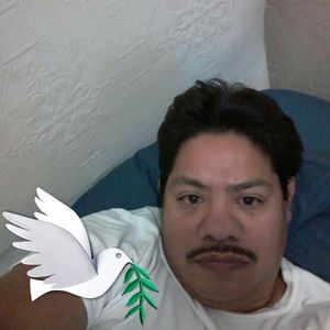 Meet your Posher, Jose nicolas